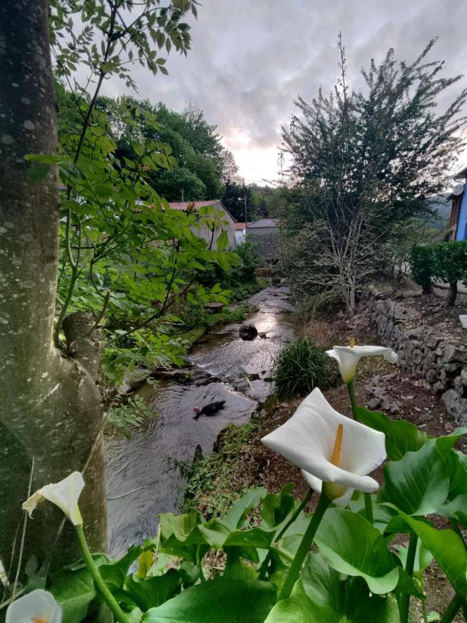 Casa La Cobaraza Vivienda Vacacional Llanes Dış mekan fotoğraf
